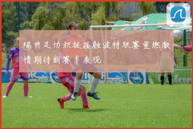 瑞典足协积极接触波特联赛重燃激情期待新赛季表现