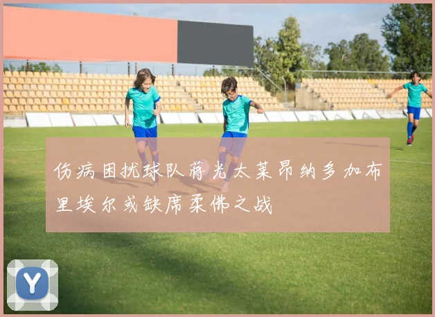 伤病困扰球队蒋光太莱昂纳多加布里埃尔或缺席柔佛之战