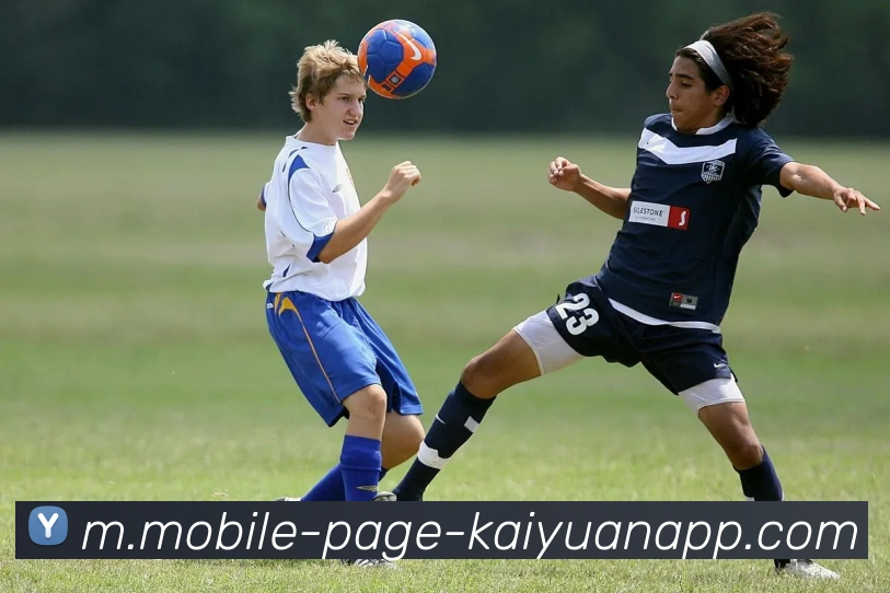 开元体育平台生态图